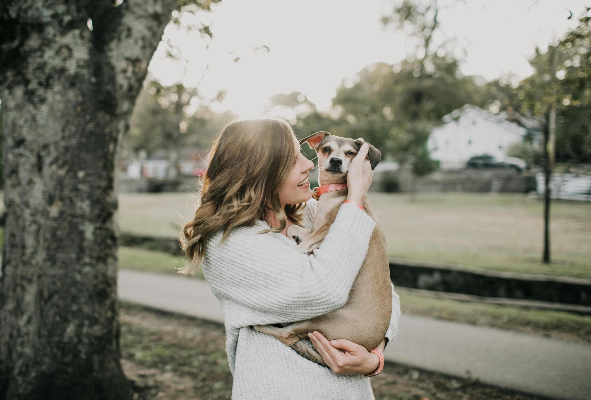 Follow-up Vet Appointment Prices in Birkenhead